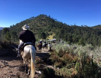 Ajusco Volcanoes and Wilderness Adventure